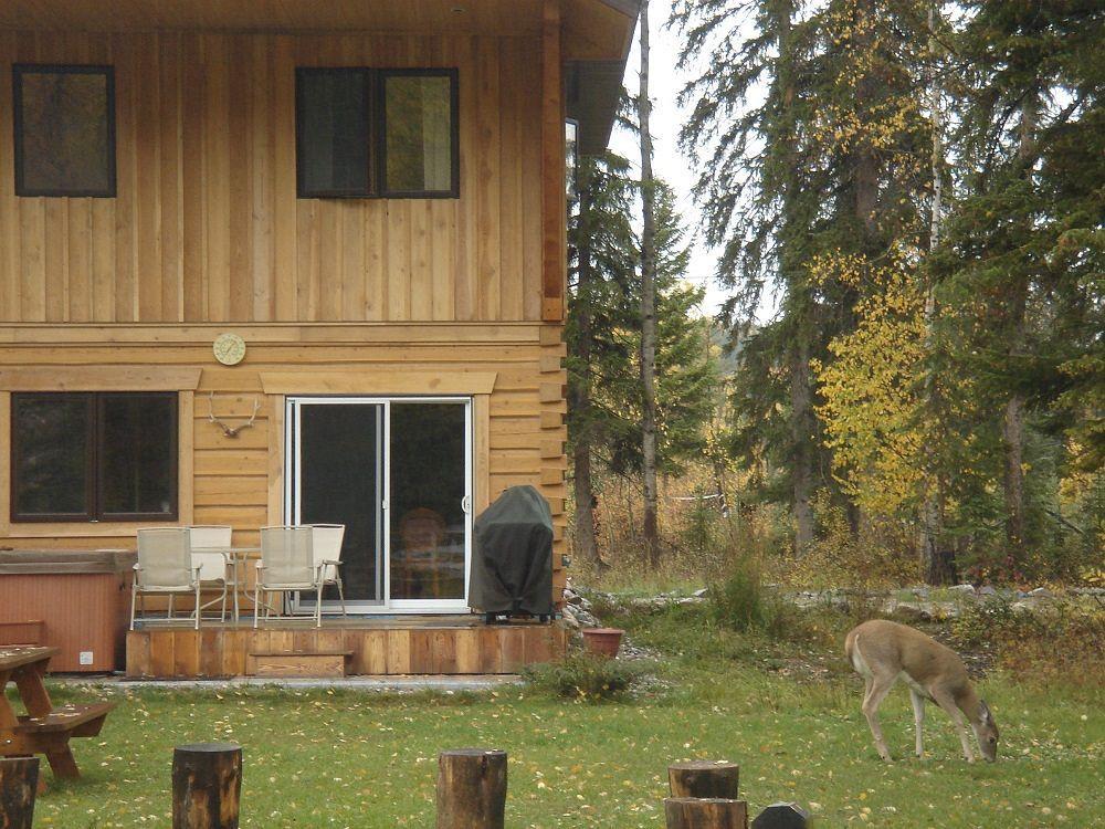 Kicking Horse Kabins Golden Exterior photo